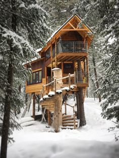 a tree house in the snow surrounded by trees