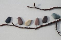 five small birds sitting on top of rocks in a line next to a tree branch