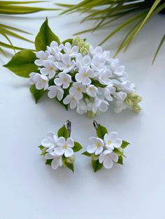 three white flowers are sitting next to some green leaves on a white surface with one flower in the center