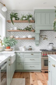 a kitchen with green cabinets and white counter tops, plants on shelves above the stove