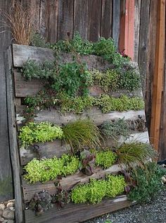 a wooden planter filled with lots of green plants