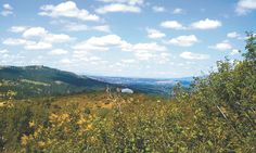 there is a view from the top of a hill with trees and mountains in the background