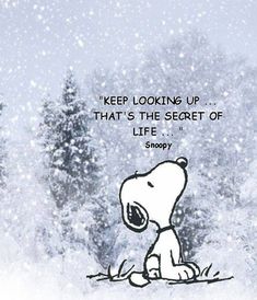 a cartoon dog sitting in the snow with a caption that reads, keep looking up that's the secret of life