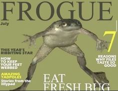 the cover of frogue magazine features an image of a frog on it's back