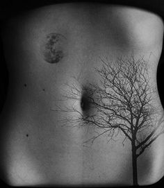 a black and white photo of a tree with moon tattoos on it's stomach