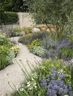 a garden filled with lots of different types of flowers and plants on top of gravel