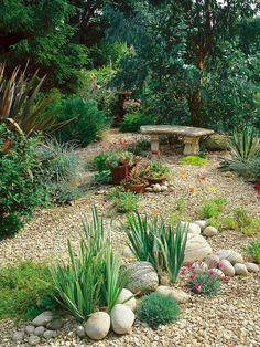 a garden filled with lots of plants and rocks