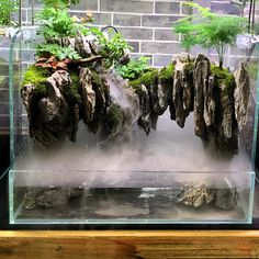 an aquarium with rocks and plants in it