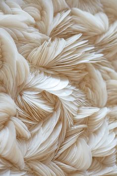 an abstract photograph of white feathers on a surface that looks like it has been made out of