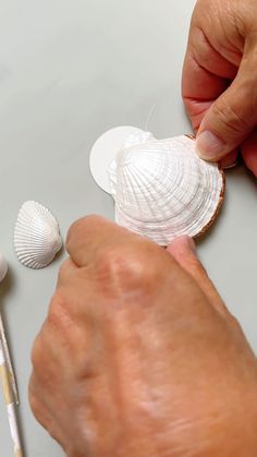 a person is making seashells out of paper