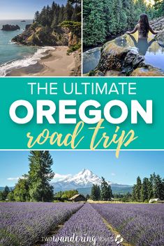 the ultimate oregon road trip with lavender fields and mountains