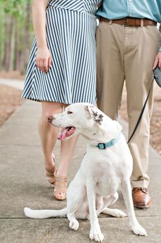 a man and woman standing next to a white dog on a sidewalk with trees in the background