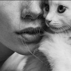 a woman holding a white kitten in her arms with the caption, cat photography