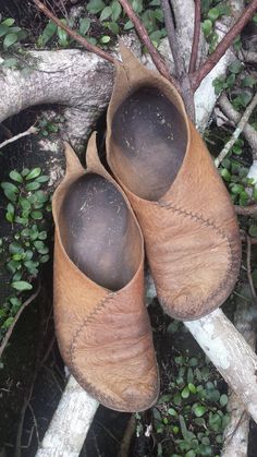 two wooden shoes sitting on top of a tree branch