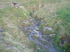 there is a small stream running through the grass and rocks in this area that has been dug up