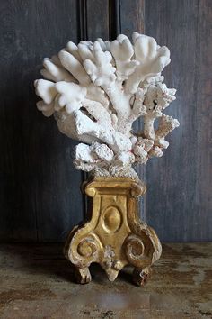 a gold vase filled with white corals on top of a wooden table next to a door