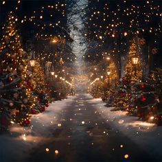 a snowy road with christmas lights on the trees