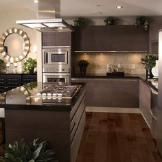 a modern kitchen with stainless steel appliances and dark wood cabinets, along with potted plants