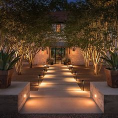 an outdoor walkway lit up at night with planters and lights on the side walk