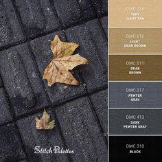 a leaf laying on the ground next to some black and brown bricks with different colors