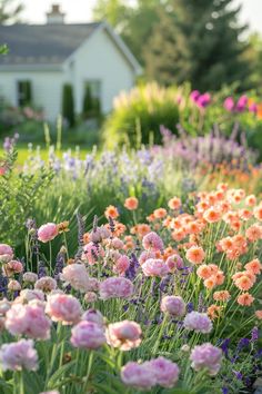 a garden filled with lots of flowers next to a house