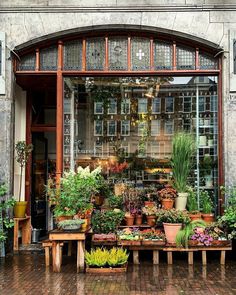 an open window with potted plants in front of it on a brick sidewalk next to a building