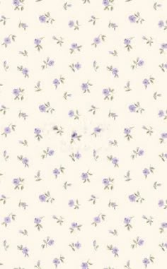 purple flowers are on a white background