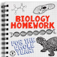 a notebook with an image of a turtle and the words biology homework for the whole year