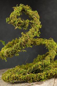 Preserved Moss Vine 6ft Voodoo Wedding, Enchanted Forest Bedroom, Enchanted Forest Prom, Wire Vine, Enchanted Forest Decorations, Lodge Christmas, Bouquet Succulent, Moss Grass, Enchanted Forest Party