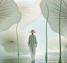 a person with a hat standing in the water between two large white flowers that appear to be floating