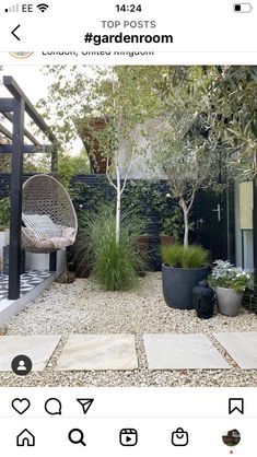 an image of a garden with plants and rocks in the ground, on instagram