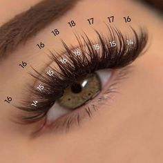 Wispy Colored Lash Extensions, Lashes Wispy Volume, D Curl Wispy Lashes, Volume Wispy Eyelash Extensions, Wispy Lash Map, Eyelash Mapping, Lash Map, Lashes Tutorial, Lashes Fake Eyelashes