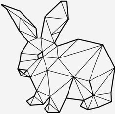 the outline of a rabbit is shown in black and white, with lines running through it