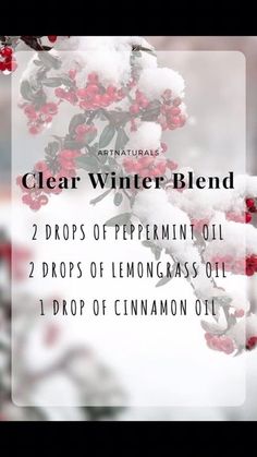 Winter Blend, Young Living Essential Oils Recipes, Clear Winter, Yl Essential Oils, Essential Oil Mixes