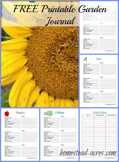 the free printable garden journal with sunflowers and other things to do in it