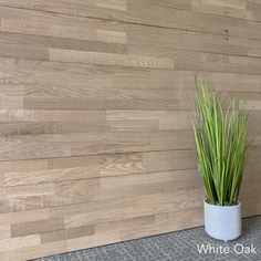 a plant in a white vase against a wooden wall