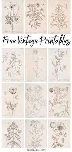 a bunch of different pictures with the words free vintage printables written below them