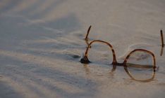 a pair of glasses laying on the sand