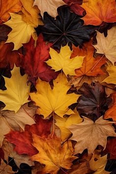 Fall Inspiration, Creative Block, Feeling Stuck, Fall Design, Awe Inspiring, Fall Season, Cool Pictures, Pins