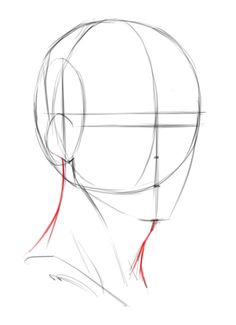 a drawing of the head and neck of a person