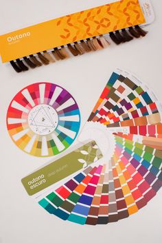 an assortment of color swatches, with the colors used in each section to make them stand out