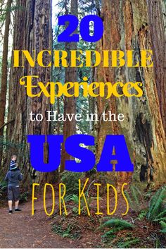 the words, incredible experiences to have in the usa for kids are overlaid by trees