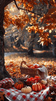 an autumn picnic with pumpkins and gourds on the blanket under a tree