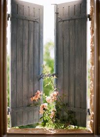 an open window with flowers growing out of it