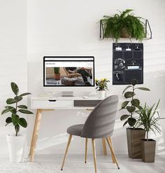 an office with plants and a computer on the desk in front of it is white