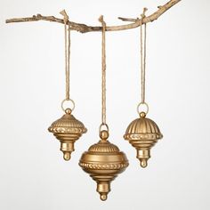 three golden ornaments hanging from a tree branch