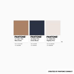 the pantone color scheme is shown in three different shades