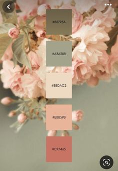 some pink flowers and green leaves on a gray background with the words, behrosb