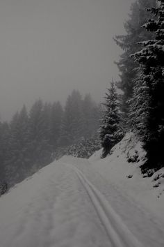 a snow covered road with pine trees on both sides and foggy sky in the background