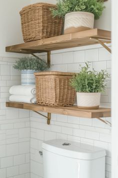 bathroom shelves filled with plants and toilet paper